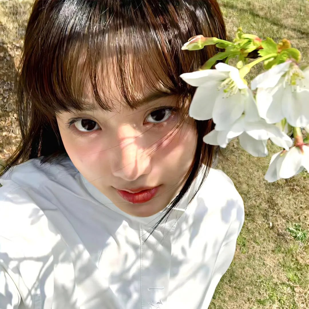 迷蝶